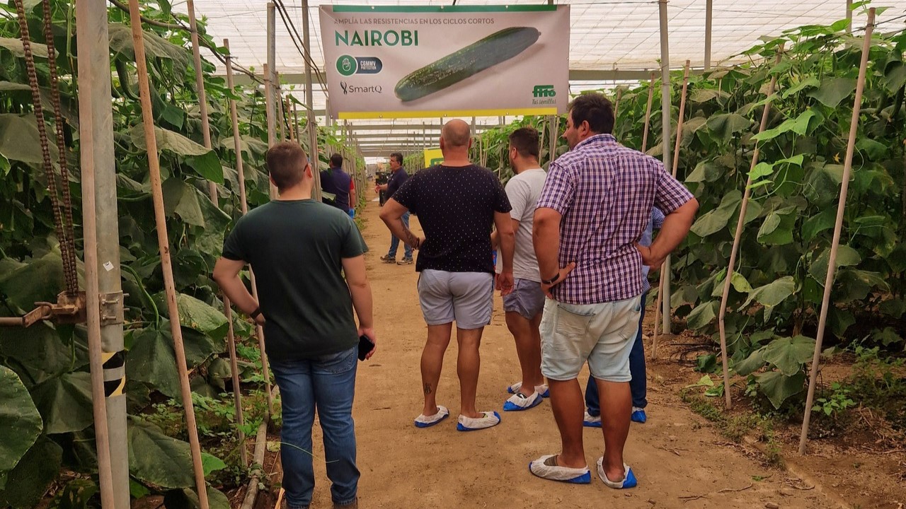 fito Jornadas pepino|pepino fito Nairobi|pepino fito Nairobi|pepino fito Nairobi